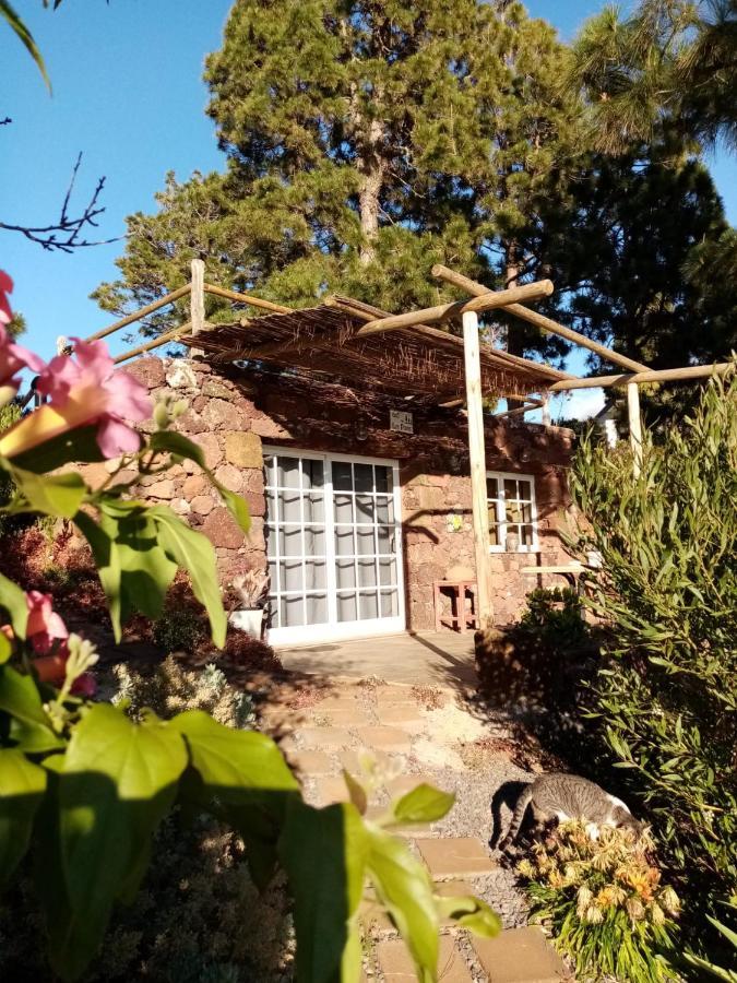 Casa Los Pinos - Sunset & Wifi Puntagorda Dış mekan fotoğraf