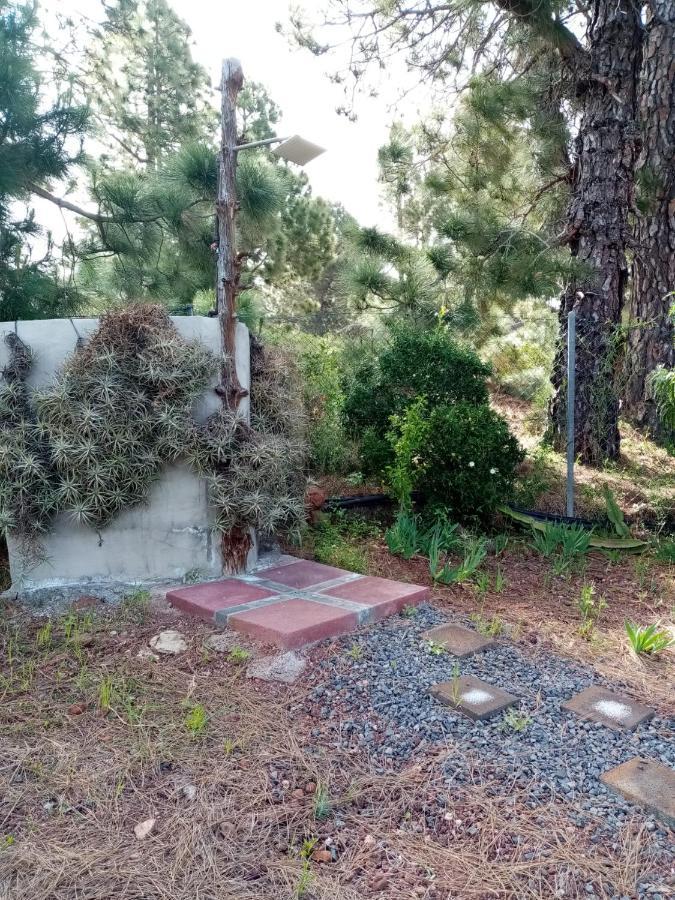 Casa Los Pinos - Sunset & Wifi Puntagorda Dış mekan fotoğraf
